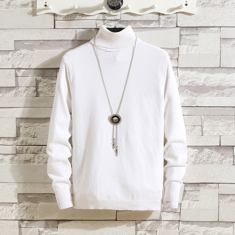 Herren Rollkragenpullover aus hochwertigem Strickmaterial EB