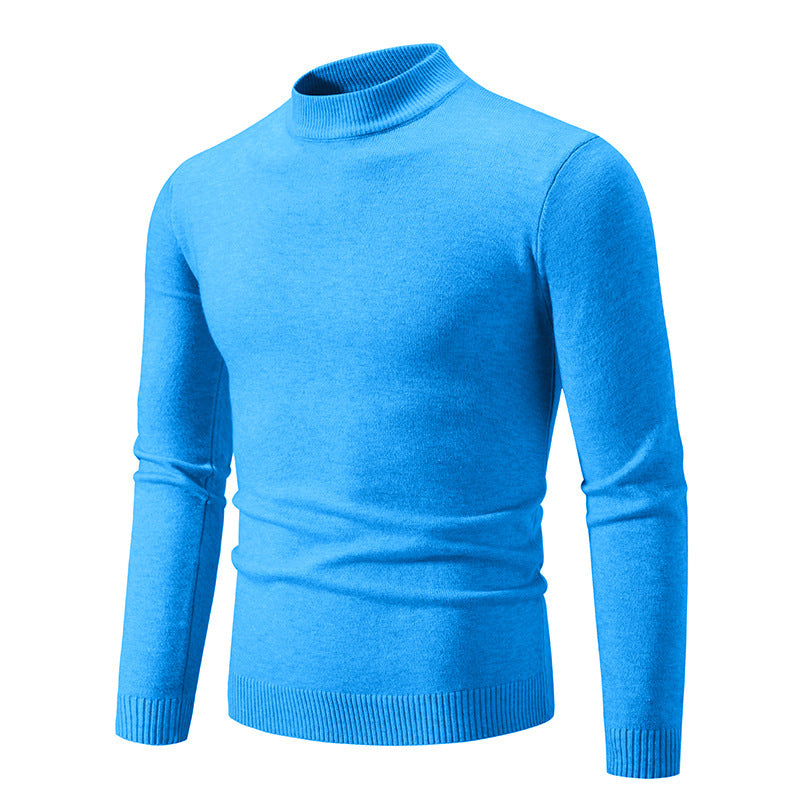 Herren Rollkragenpullover aus weichem Strickmaterial EB