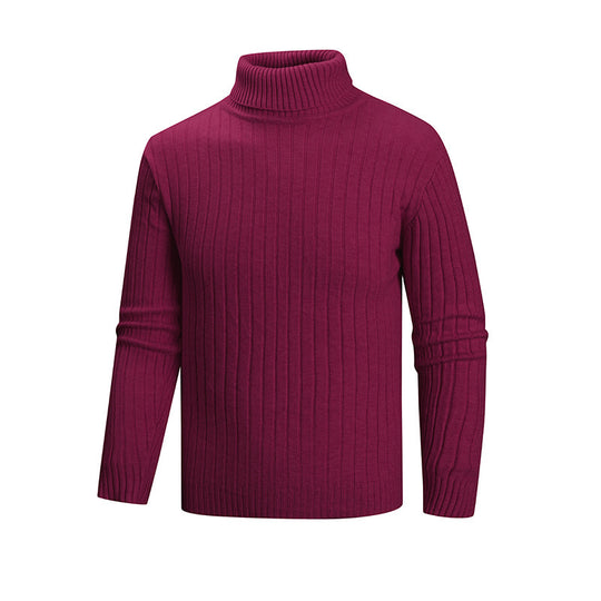 Herren Strickpullover mit Stehkragen EB