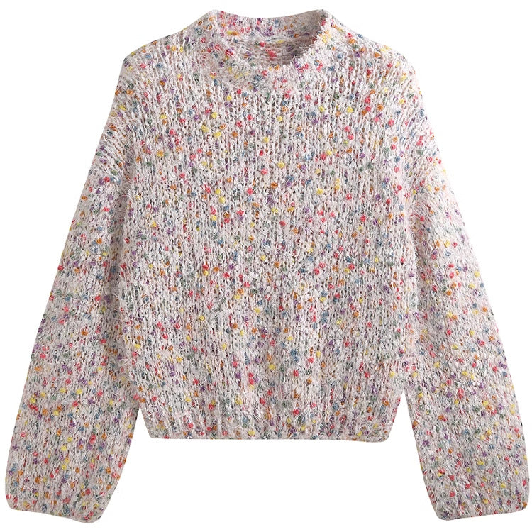 Damen modischer Pullover mit buntem Strukturstrick und Rundhalsausschnitt EB