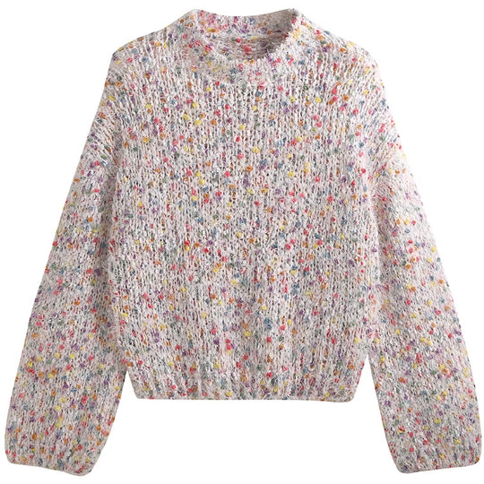 Damen modischer Pullover mit buntem Strukturstrick und Rundhalsausschnitt EB