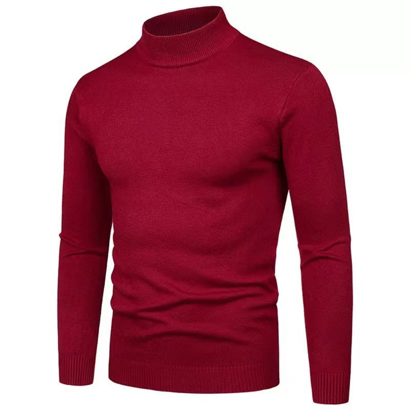 Herren Rollkragenpullover aus hochwertigem Strickmaterial EB