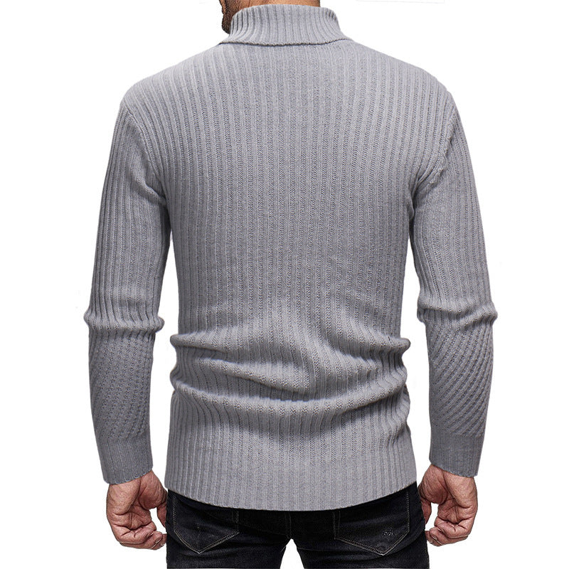 Herren Rollkragenpullover EB