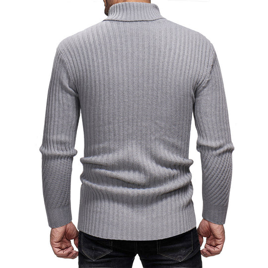 Herren Rollkragenpullover EB