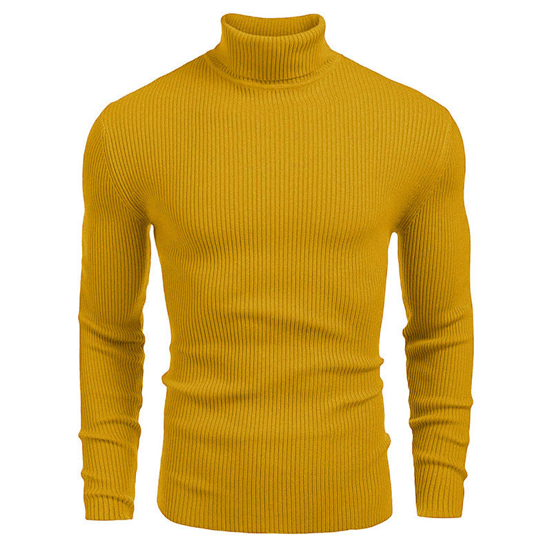 Herren Rollkragenpullover aus feinem Rippstrick EB