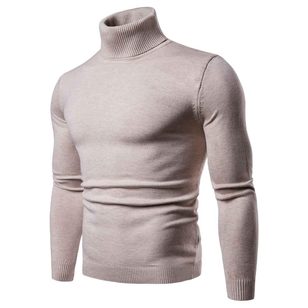 Herren Rollkragenpullover aus weichem Strick EB