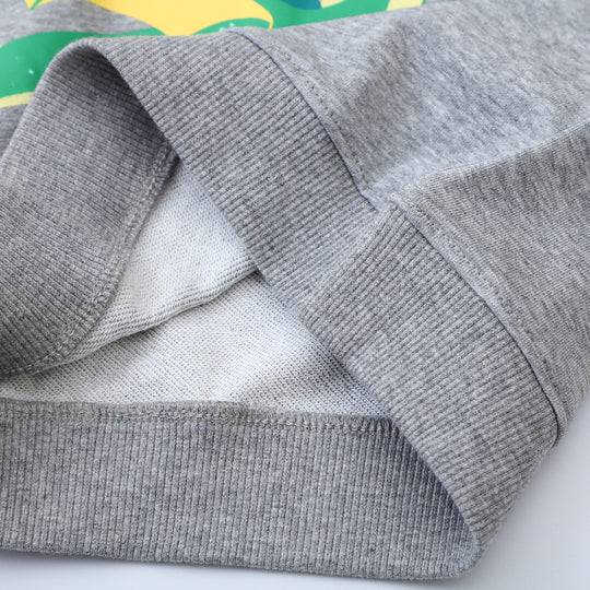 Jungen Sweatshirt mit lebhaftem Drachen-Design EB