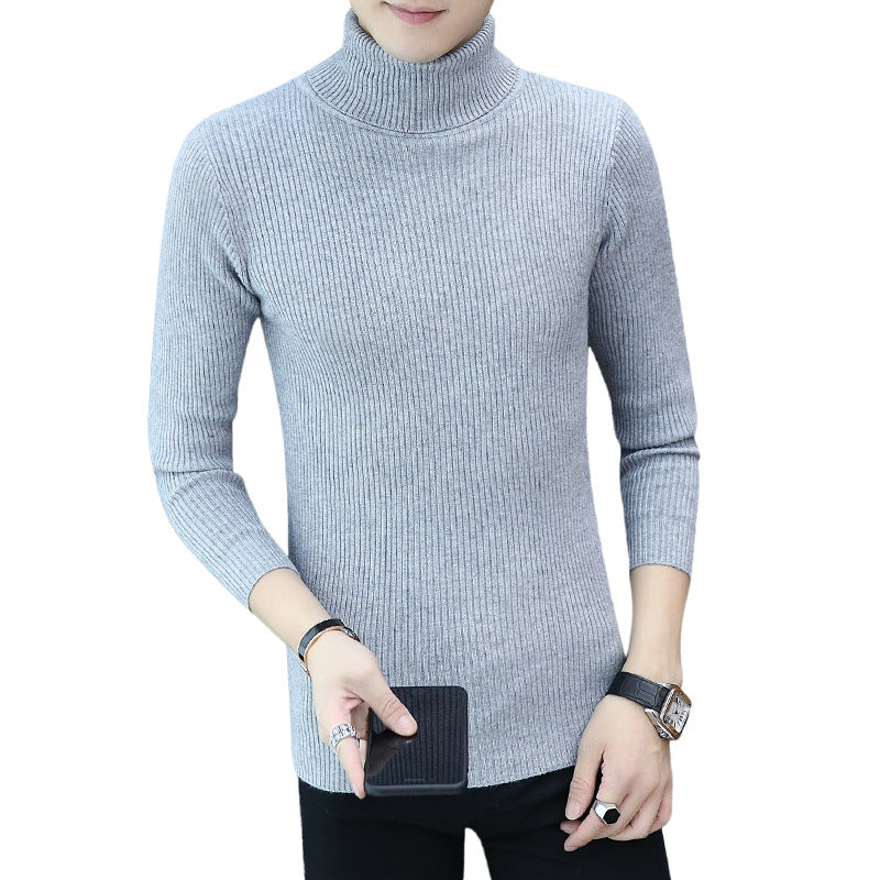 Herren Rollkragenpullover aus hochwertigem Rippenstrick EB