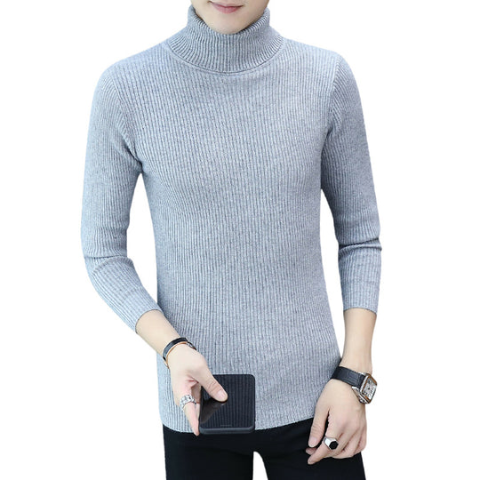 Herren Rollkragenpullover aus hochwertigem Rippenstrick EB
