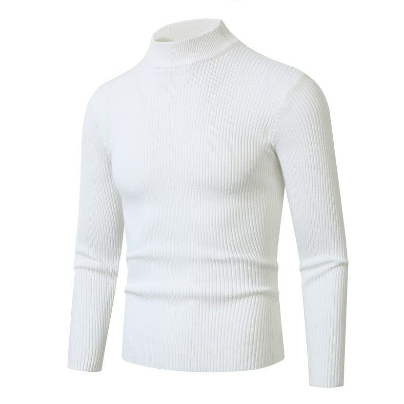 Herren Rollkragenpullover aus hochwertiger Rippenstruktur R&B
