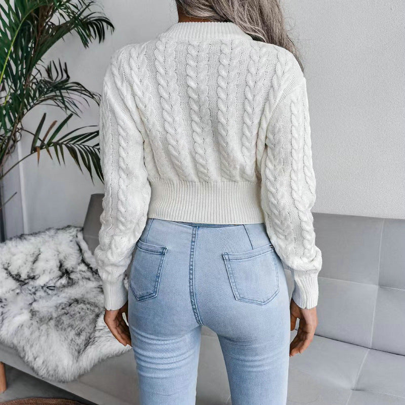 Damen Strickpullover mit strukturiertem Zopfdesign EB