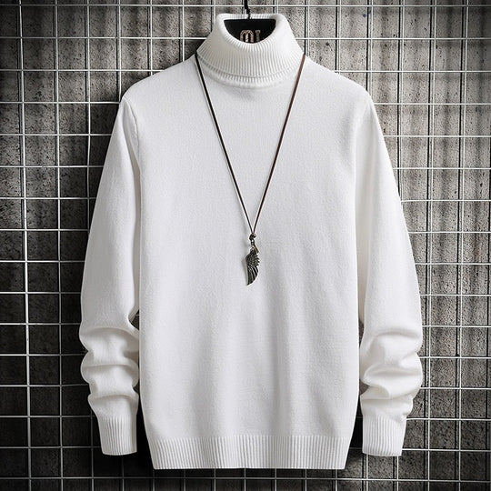 Herren bequemer Rollkragenpullover EB