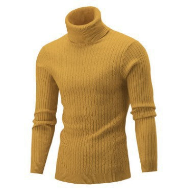 Herren nan gerippter Rollkragenpullover mit Zopfmuster und körpernaher Slim-Fit-Silhouette EB