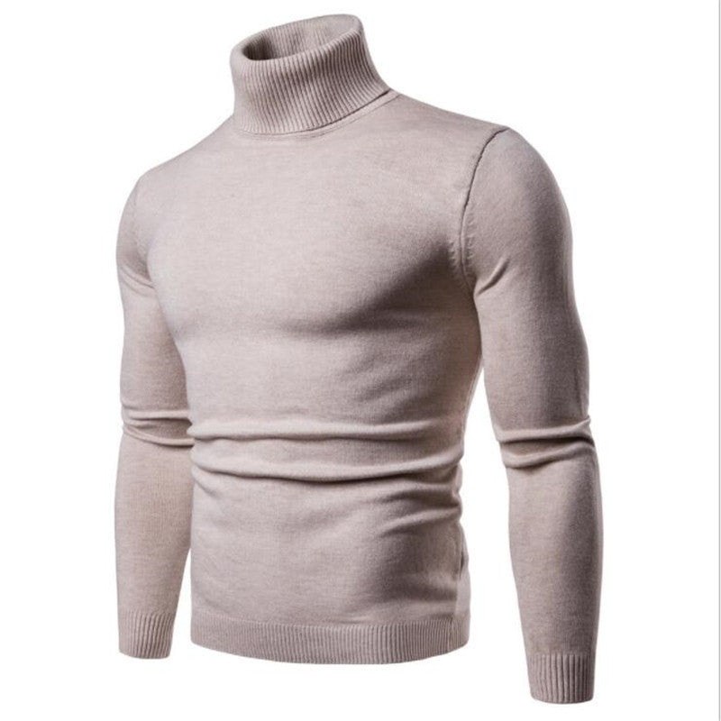 Herren Rollkragenpullover aus feiner Strickware EB