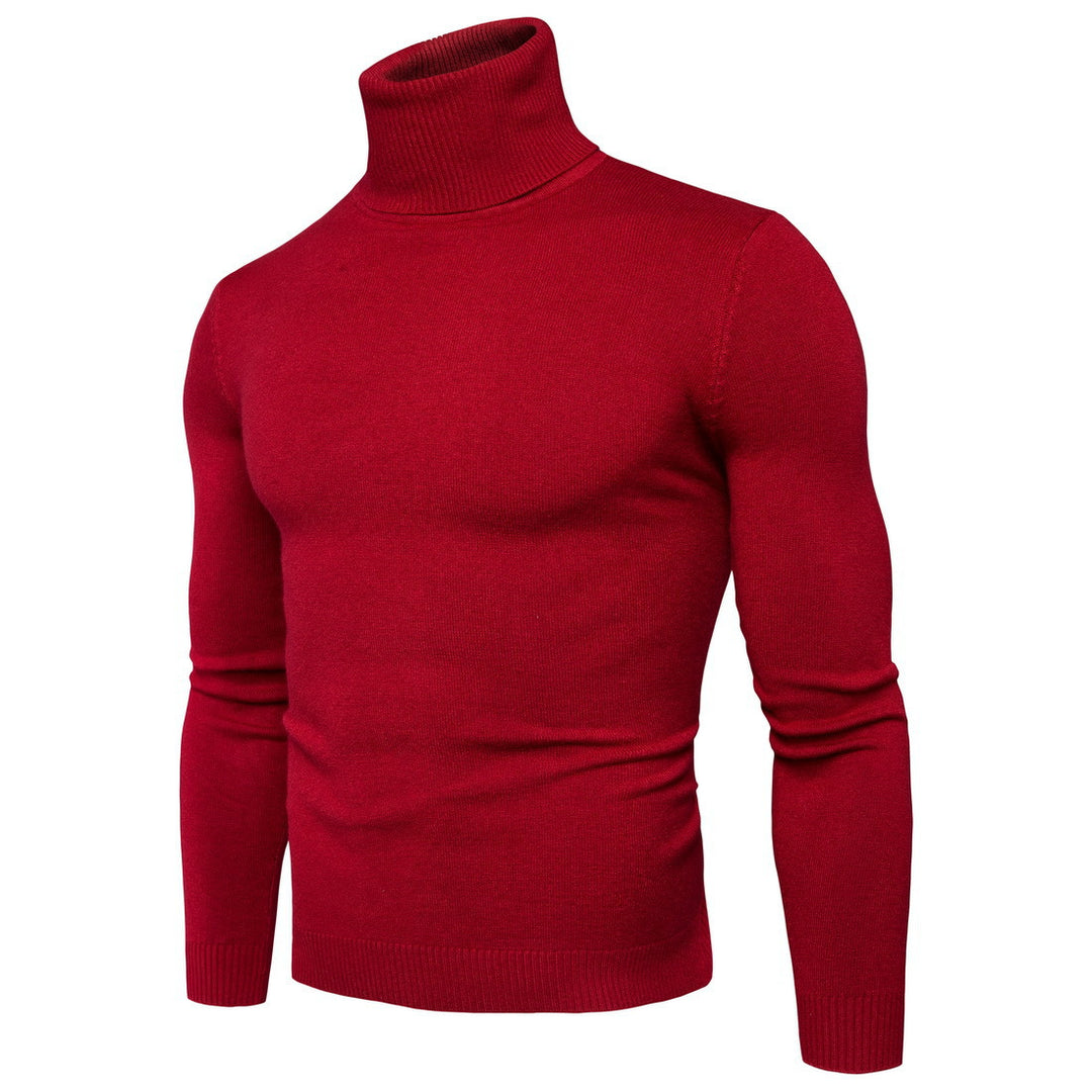 Herren Rollkragenpullover aus feiner Merinowolle EB