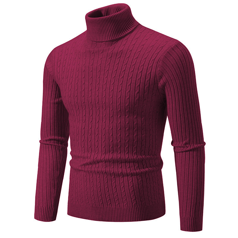 Herren Rollkragenpullover mit strukturiertem Strickmuster EB