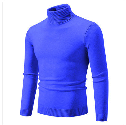 Herren Rollkragenpullover aus weichem Feinstrick EB
