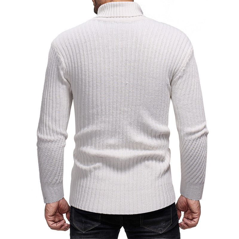Herren Rollkragenpullover EB