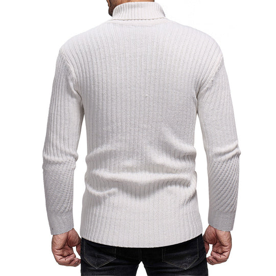 Herren Rollkragenpullover EB