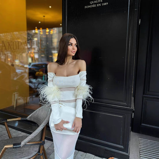 Damen Elegantes Kleid mit transparenten Einsätzen und federverzierten Ärmeln EB