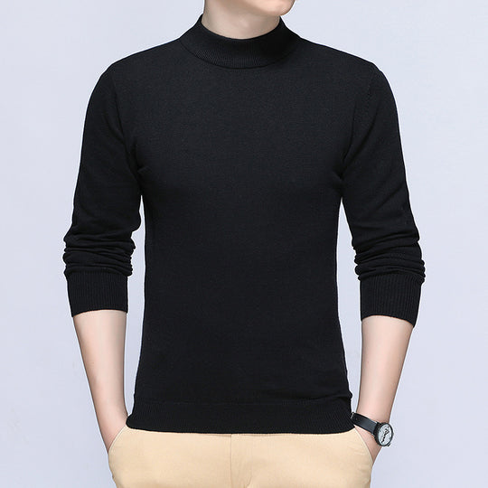 Herren stilvoller Rollkragenpullover aus weichem Baumwollmix EB