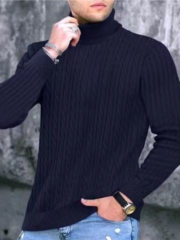 Herren Rollkragenpullover mit strukturiertem Strickmuster EB
