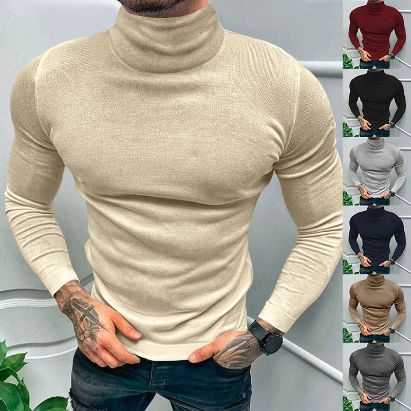 Herren eleganter Rollkragenpullover aus hochwertigem Baumwollmix EB