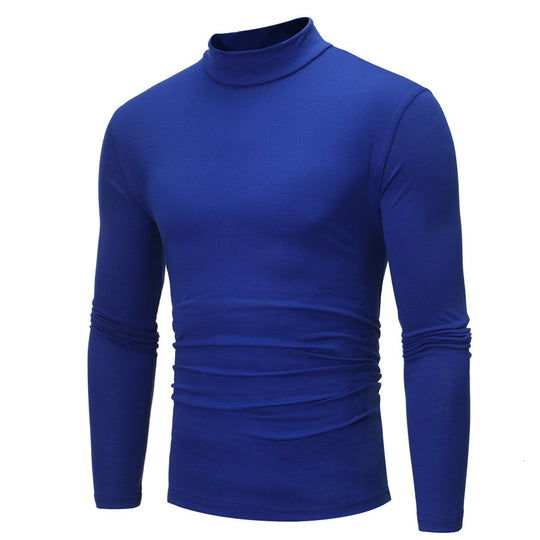 Herren Rollkragenpullover aus weichem Jersey EB