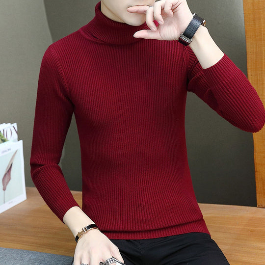Herren Rollkragenpullover aus hochwertigem Rippenstrick EB
