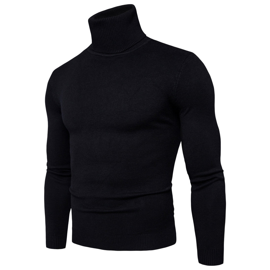 Herren Rollkragenpullover aus feiner Merinowolle EB