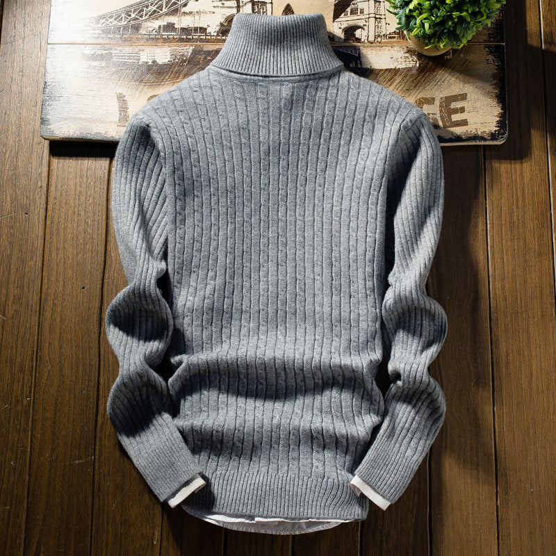 Herren Rollkragenpullover mit Zopfmuster EB