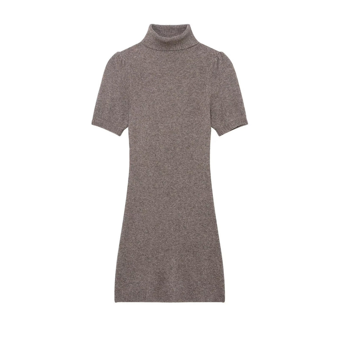 Damen Strickkleid mit kurzem Arm und hochgeschlossenem Kragen EB