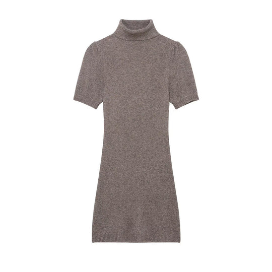 Damen Strickkleid mit kurzem Arm und hochgeschlossenem Kragen EB