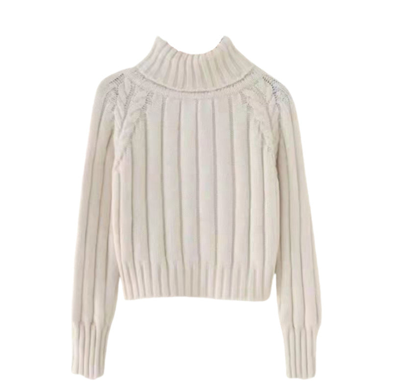 Damen Strickpullover mit hohem Kragen und Rippstruktur EB
