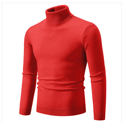 Herren Rollkragenpullover aus weichem Feinstrick EB