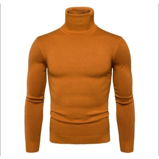 Herren Rollkragenpullover aus feiner Merinowolle EB