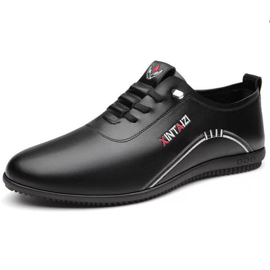 Herren elegante Schnürschuhe EB