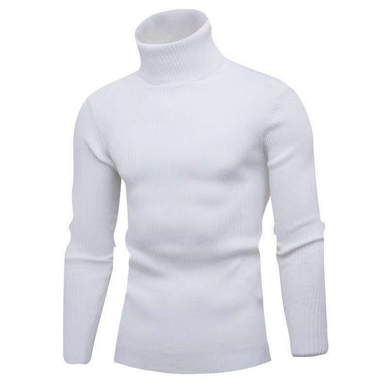 Herren modischer Rollkragenpullover mit feiner Rippstruktur EB