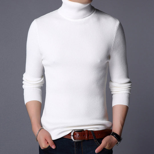 Herren Feinstrickpullover EB