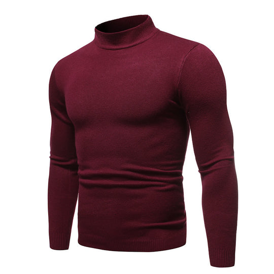 Herren zeitloser Rollkragenpullover EB
