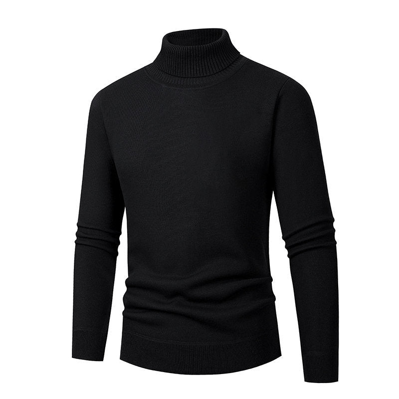 Herren eleganter Rollkragenpullover aus hochwertigem Material EB