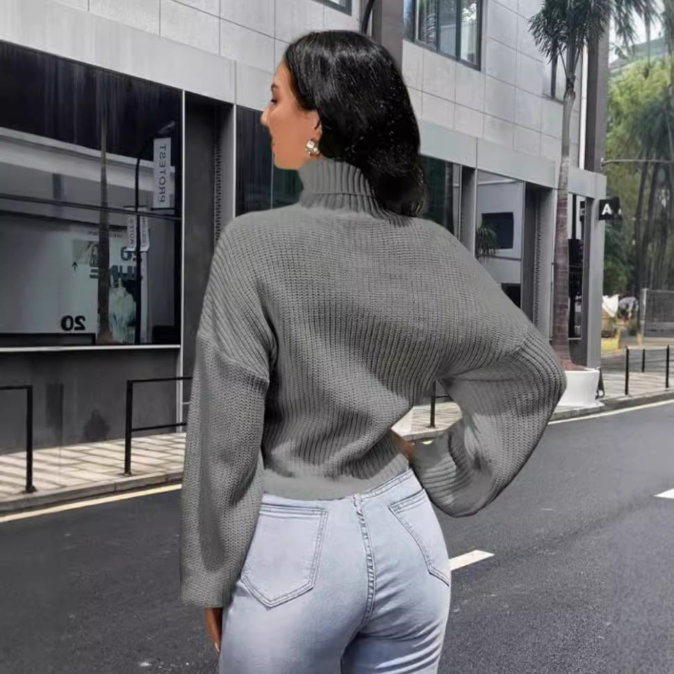 Damen Strickpullover mit hohem Kragen und lässigem Schnitt EB