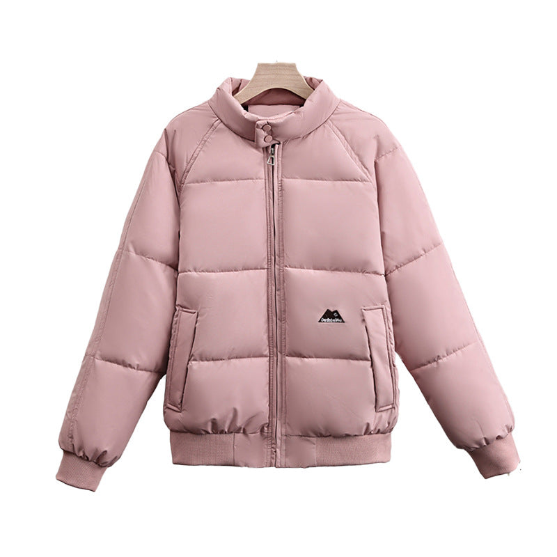 Damen nan kurzer gesteppter Pufferblouson mit hohem Stehkragen, elastischen Rippbündchen und verdeckter Reißverschluss EB