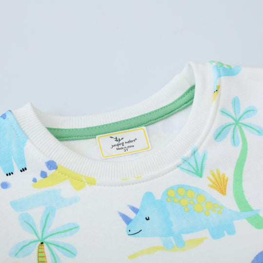 Kinder Sweatshirt mit buntem Dinosaurierdruck EB