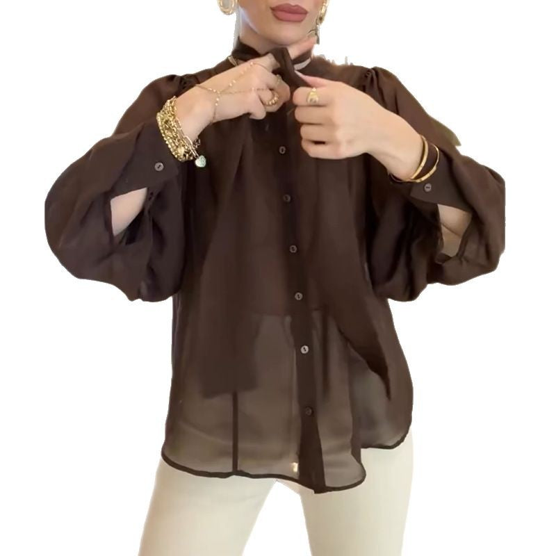Damen transparente Bluse mit Schleifenkragen EB