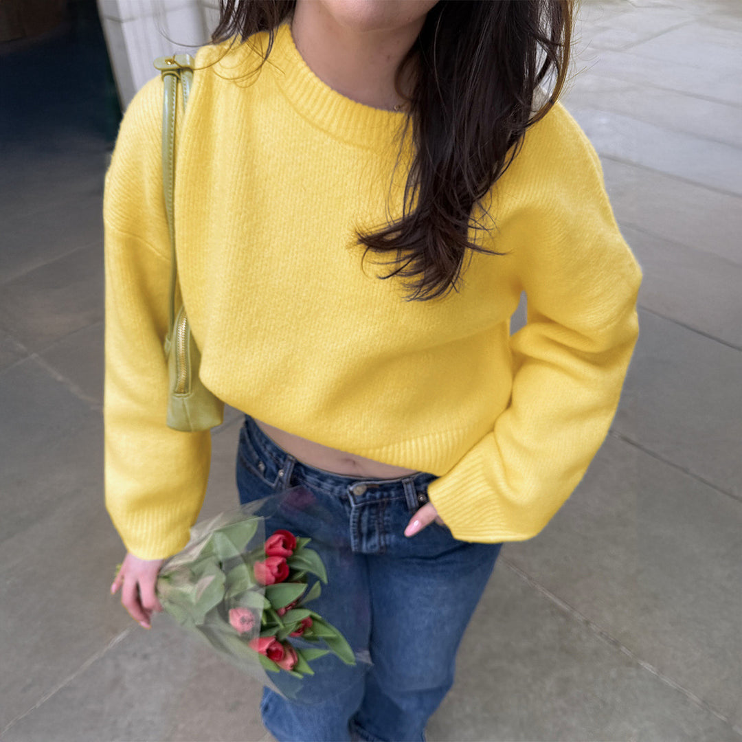 Damen nan Oversize-Feinstrickpullover mit Stehkragen, verlängerter Rückenpartie und Ballonärmeln EB