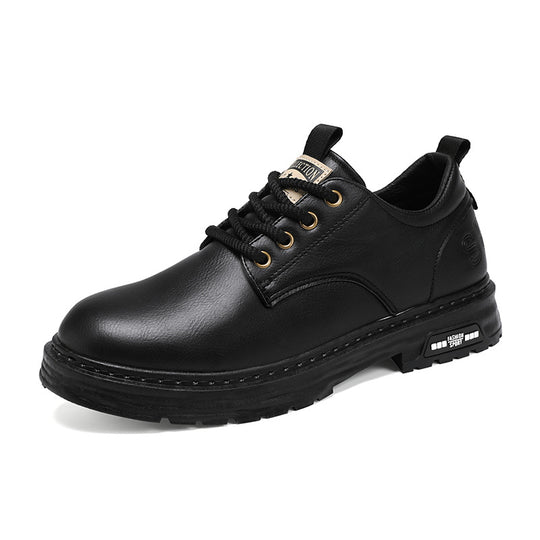 Herren Schnürschuhe aus Leder EB