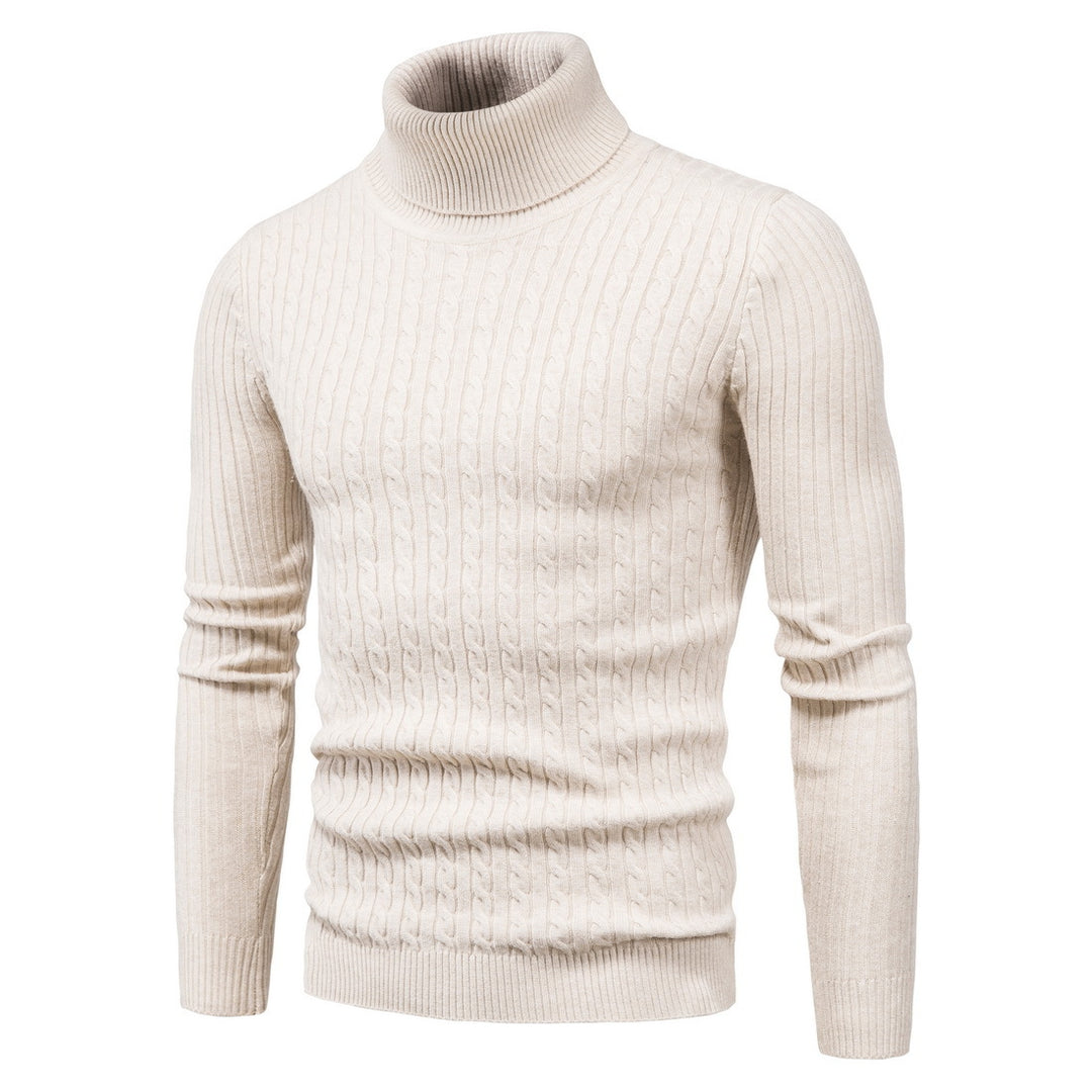 Herren komfortabler Rollkragenpullover EB