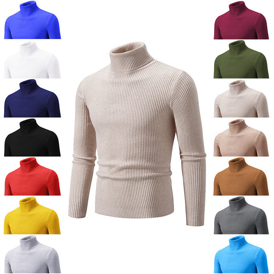 Herren Rollkragenpullover aus feinem Rippstrick EB 1758806066