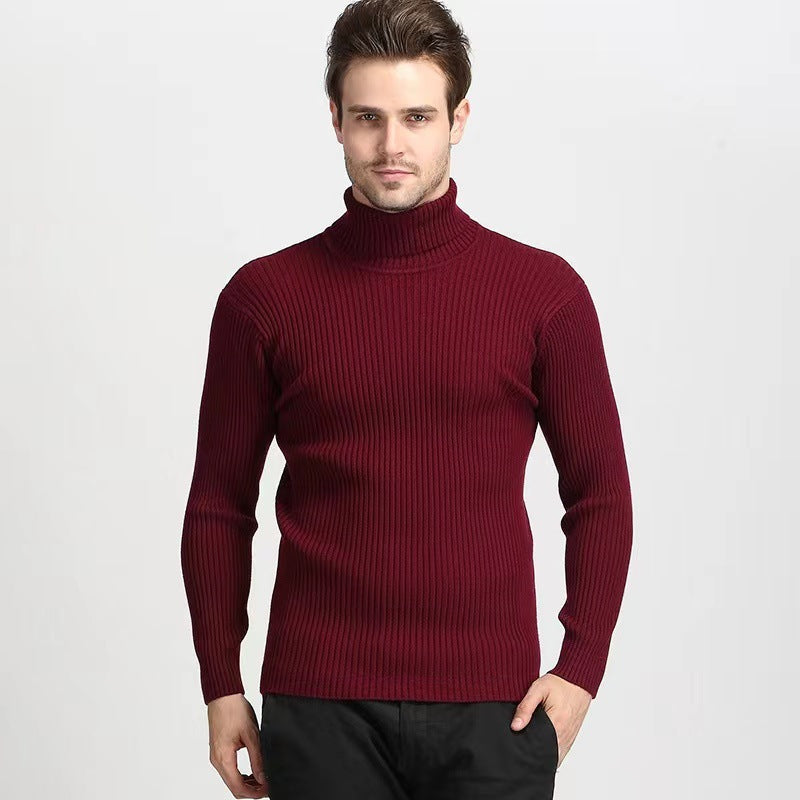 Herren nan Rippstrick Rollkragenpullover figurnaher elastischer Feinstrick EB